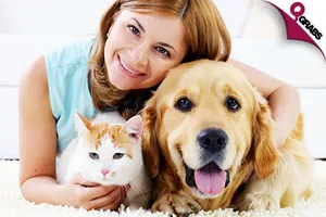 huge_700x420__21009.png